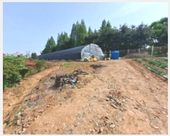  2025Ÿ��51259 �泲 ������ �۾��� ������ 224      ����(��1)���