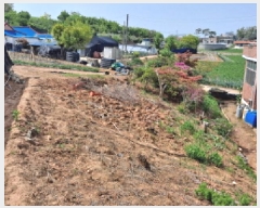  2025Ÿ��51259 �泲 ������ �۾��� ������ 224      ����(��1)���