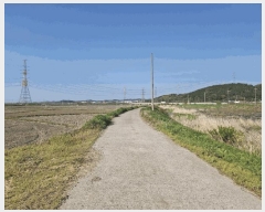  2025Ÿ51269 泲    207-8      ()