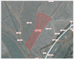  2025Ÿ51269 泲    207-8      ()