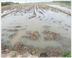  2025Ÿ51269 泲    207-8      ()