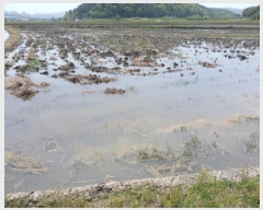  2025Ÿ51269 泲    207-8      ()