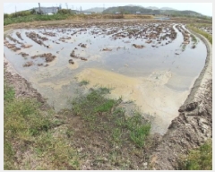  2025Ÿ51269 泲    207-8      ()