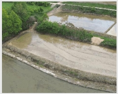  2025Ÿ51283 泲  ۻ  85-13      (Ӿ)