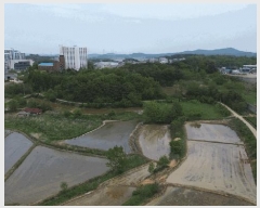  2025Ÿ51283 泲  ۻ  85-13      (Ӿ)