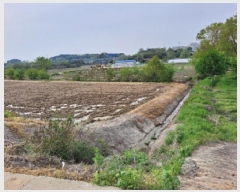  2025Ÿ51283 泲  ۻ  85-13      (Ӿ)