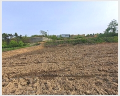  2025Ÿ51283 泲  ۻ  85-13      (Ӿ)