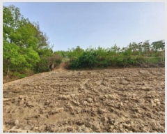  2025Ÿ51283 泲  ۻ  85-13      (Ӿ)