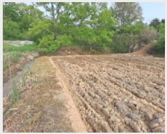  2025Ÿ51283 泲  ۻ  85-13      (Ӿ)