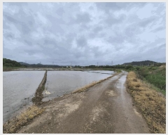  2025Ÿ��51305 �泲 ������ ������ ����� 698-3      ����(��)���