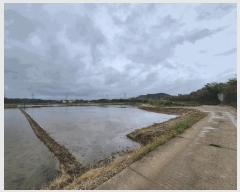  2025Ÿ��51305 �泲 ������ ������ ����� 698-3      ����(��)���