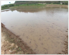  2025Ÿ��51305 �泲 ������ ������ ����� 698-3      ����(��)���