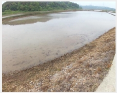  2025Ÿ��51305 �泲 ������ ������ ����� 698-3      ����(��)���