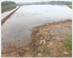  2025Ÿ��51305 �泲 ������ ������ ����� 698-3      ����(��)���