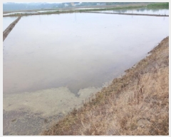  2025Ÿ��51305 �泲 ������ ������ ����� 698-3      ����(��)���