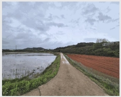  2025Ÿ��51305 �泲 ������ ������ ����� 698-3      ����(��)���