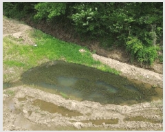  2025Ÿ��51318  ����