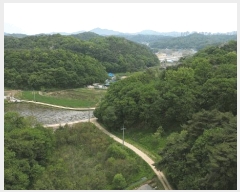  2025Ÿ��51318  ����