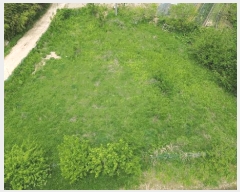  2025Ÿ��51318  ����