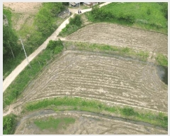  2025Ÿ��51318  ����