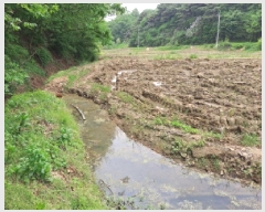  2025Ÿ��51318  ����