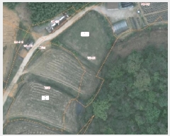  2025Ÿ��51318  ����