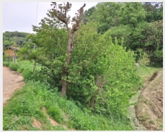  2025Ÿ��51318  ����