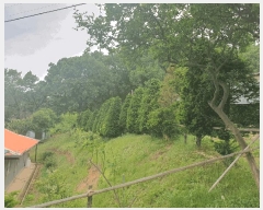  2025Ÿ��51329 �泲 ������ �ۻ�� ��긮 ��13-1      ����(�Ӿ�)���