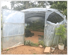  2025Ÿ��51329 �泲 ������ �ۻ�� ��긮 ��13-1      ����(�Ӿ�)���