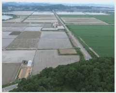  2025Ÿ��51329 �泲 ������ �ۻ�� ��긮 ��13-1      ����(�Ӿ�)���