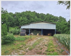  2025Ÿ��51329 �泲 ������ �ۻ�� ��긮 ��13-1      ����(�Ӿ�)���