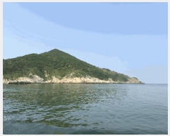  2025Ÿ51331 泲 ¾ȱ  ǵ 560-1      (Ӿ)