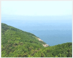  2025Ÿ51331 泲 ¾ȱ  ǵ 560-1      (Ӿ)