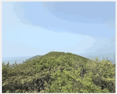  2025Ÿ51331 泲 ¾ȱ  ǵ 560-1      (Ӿ)