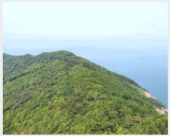  2025Ÿ51331 泲 ¾ȱ  ǵ 560-1      (Ӿ)