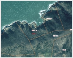  2025Ÿ51331 泲 ¾ȱ  ǵ 560-1      (Ӿ)