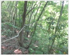  2025Ÿ51331 泲 ¾ȱ  ǵ 560-1      (Ӿ)