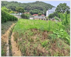  2025Ÿ��51346 �泲 ������ ���浿 525       ����(��1)���