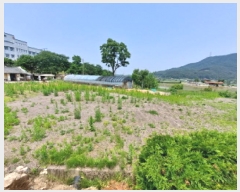  2025Ÿ��51346 �泲 ������ ���浿 525       ����(��1)���