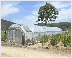  2025Ÿ��51346 �泲 ������ ���浿 525       ����(��1)���