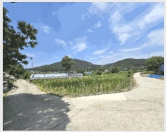  2025Ÿ��51346 �泲 ������ ���浿 525       ����(��1)���