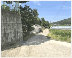  2025Ÿ��51346 �泲 ������ ���浿 525       ����(��1)���