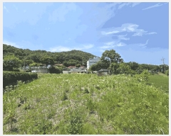  2025Ÿ��51346 �泲 ������ ���浿 525       ����(��1)���