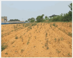  2025Ÿ��51368 �泲 ������ �մ��� ��긮 1-49      ����(�Ӿ�)���