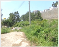  2025Ÿ��51382 �泲 �¾ȱ� �ҿ��� ���׸� 466-15      ����(��1)���