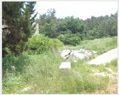  2025Ÿ��51382 �泲 �¾ȱ� �ҿ��� ���׸� 466-15      ����(��1)���