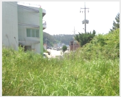  2025Ÿ��51382 �泲 �¾ȱ� �ҿ��� ���׸� 466-15      ����(��1)���