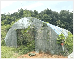  2025Ÿ��51391 �泲 ������ �۾��� ��� 353-18      ����(��1)���