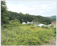  2025Ÿ��51391 �泲 ������ �۾��� ��� 353-18      ����(��1)���