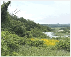  2025Ÿ��51391 �泲 ������ �۾��� ��� 353-18      ����(��1)���